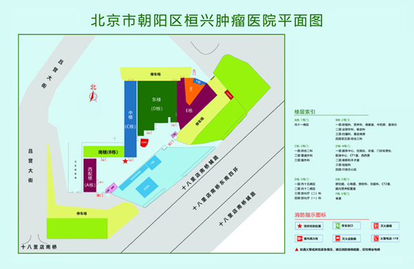 男生操女生网站最新北京市朝阳区桓兴肿瘤医院平面图